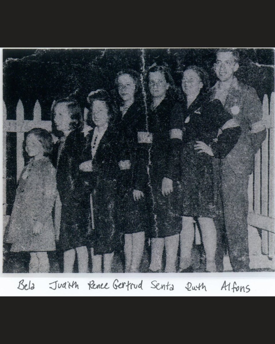 Beth Lane tweet media