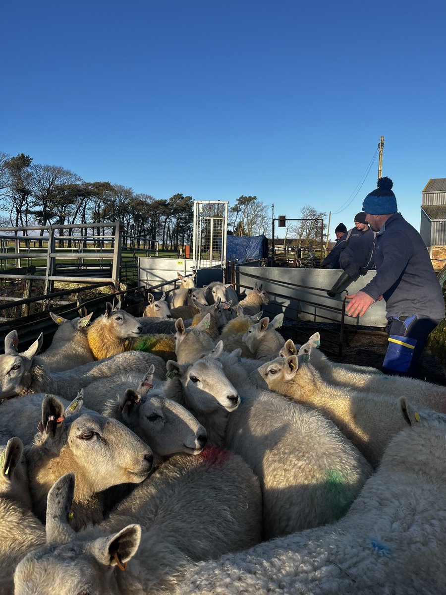 Balmonth Farm tweet media