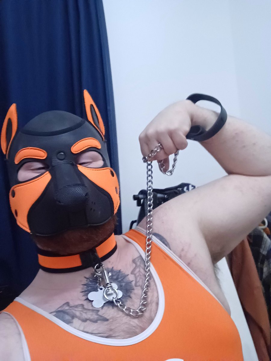 🏴󠁧󠁢󠁳󠁣󠁴󠁿 CelticCub 🏴󠁧󠁢󠁳󠁣󠁴󠁿 tweet media