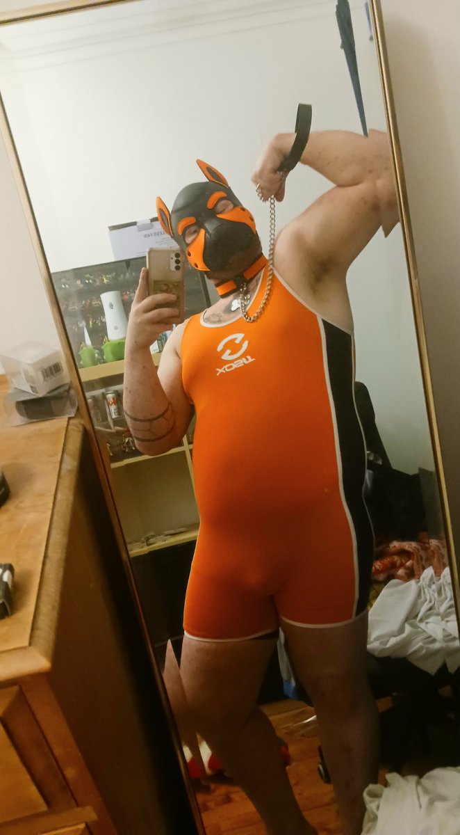 🏴󠁧󠁢󠁳󠁣󠁴󠁿 CelticCub 🏴󠁧󠁢󠁳󠁣󠁴󠁿 tweet media