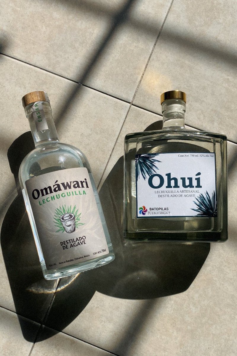 Si andan en #Puebla y quieren aprender sobre lechuguilla, este viernes y sábado daré una cata del maravilloso destilado. Un tesoro de Chihuahua para el mundo.