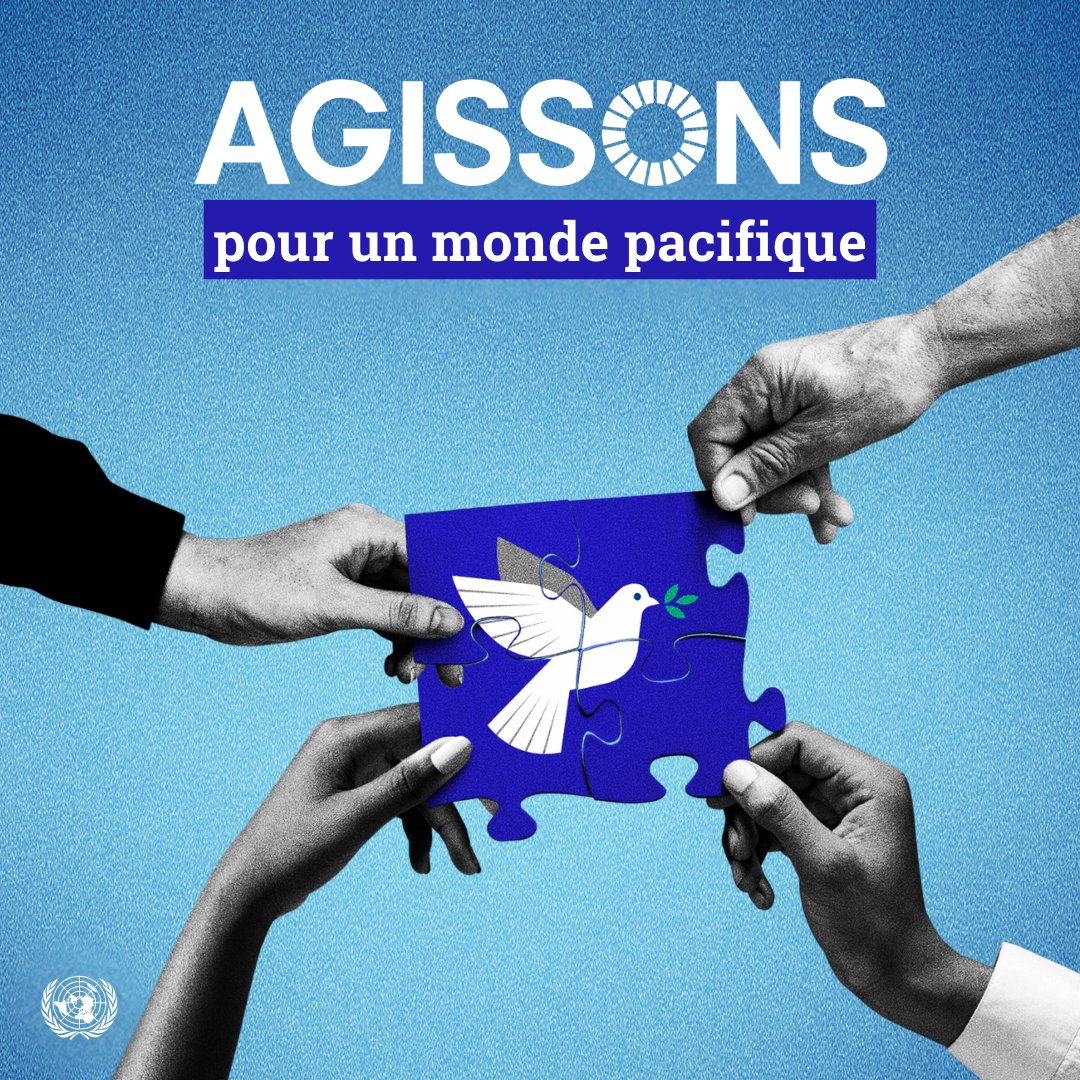 Nations Unies (ONU) tweet media