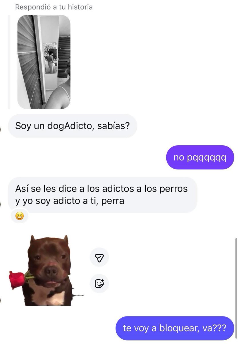 Señores dogAdictos.