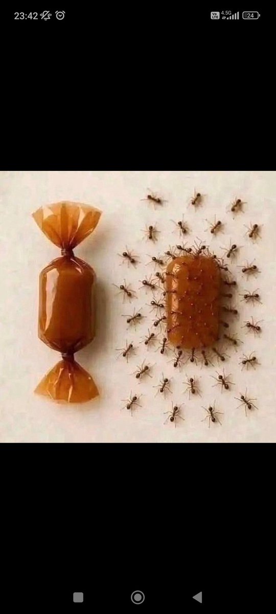 a__ArTiS__a's tweet photo. @kimneyazar Bu yine de açık olan şekere karıncaların üşüştüğü gerçeğini değiştirmiyor https://t.co/sQzeiPX7sp