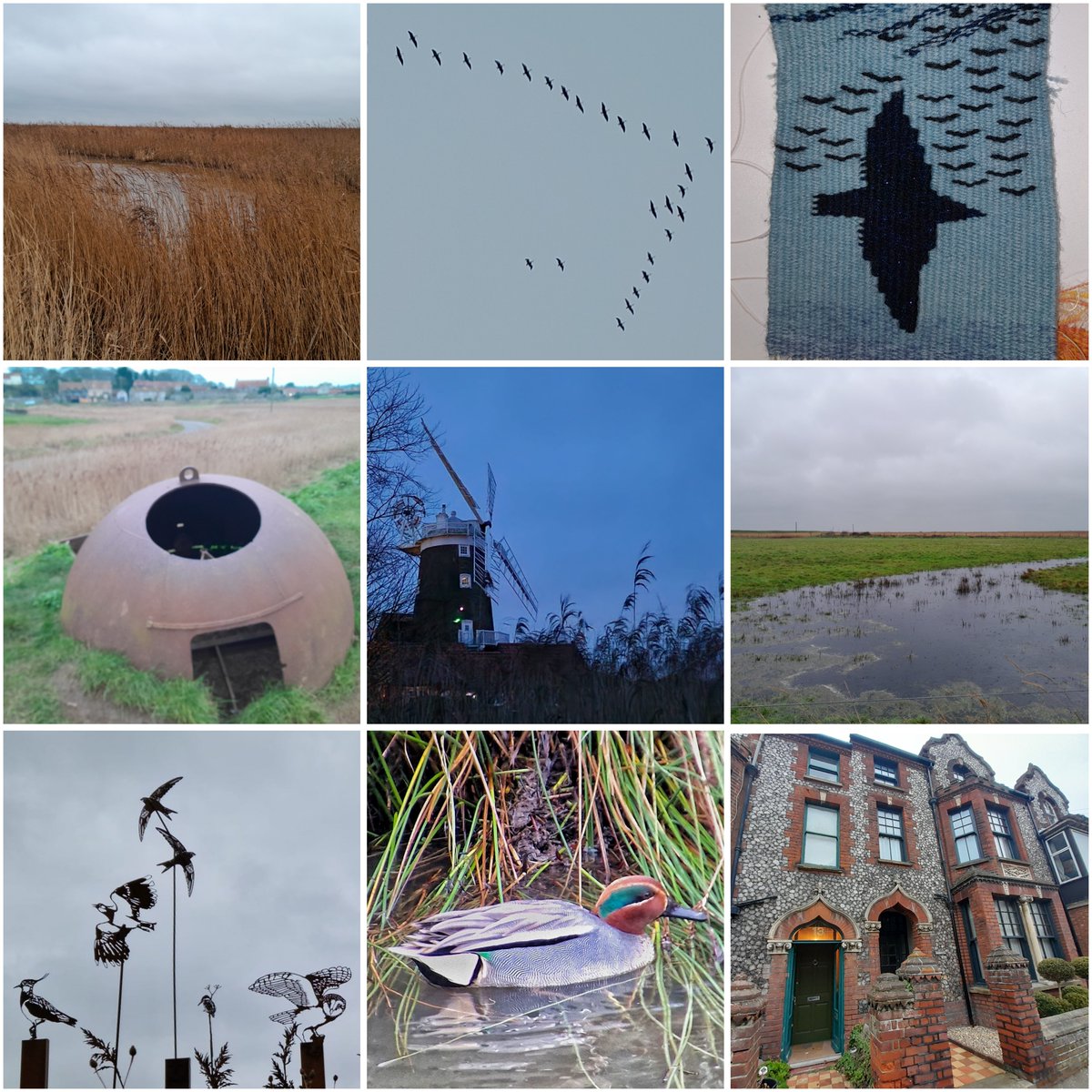 mabjones's tweet photo. Am in Norfolk - birding and wording, walking and gathering ideas for my upcoming online creative writing course! Find out more about The Wonder on my website. The world is full of it, and this writing workshop will be too! 

https://t.co/dl9500o94W https://t.co/u9xMlBddpy