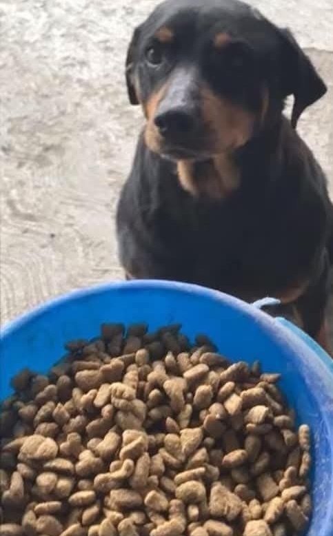 JorgeJaime_1's tweet image. Alguien que me apoye o me preste  $200 a mas tardar el sábado los regreso si  Alguien me apoya me  puede mandar mensaje 🙏