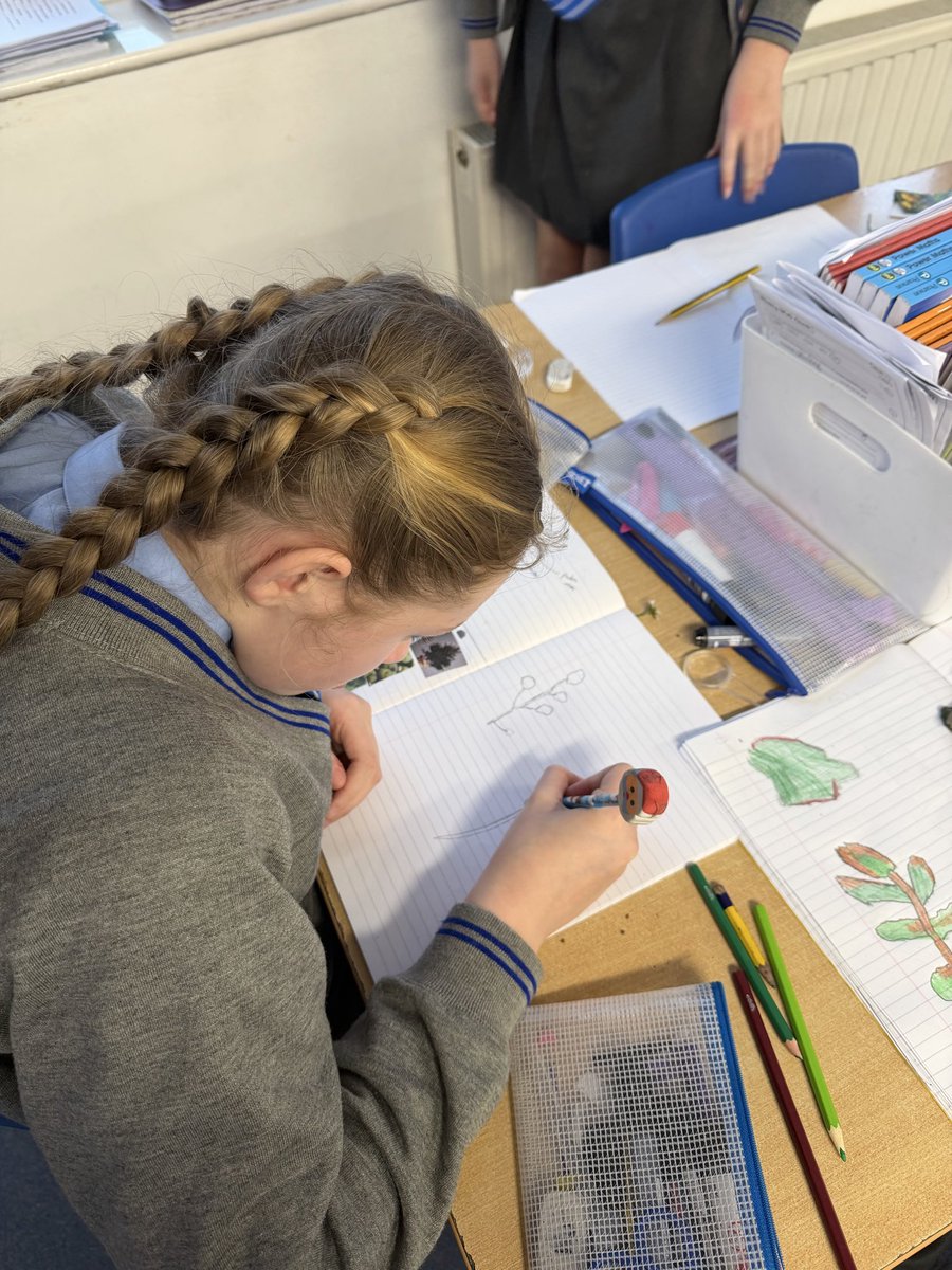 St. John Bosco Primary Year 6 tweet media