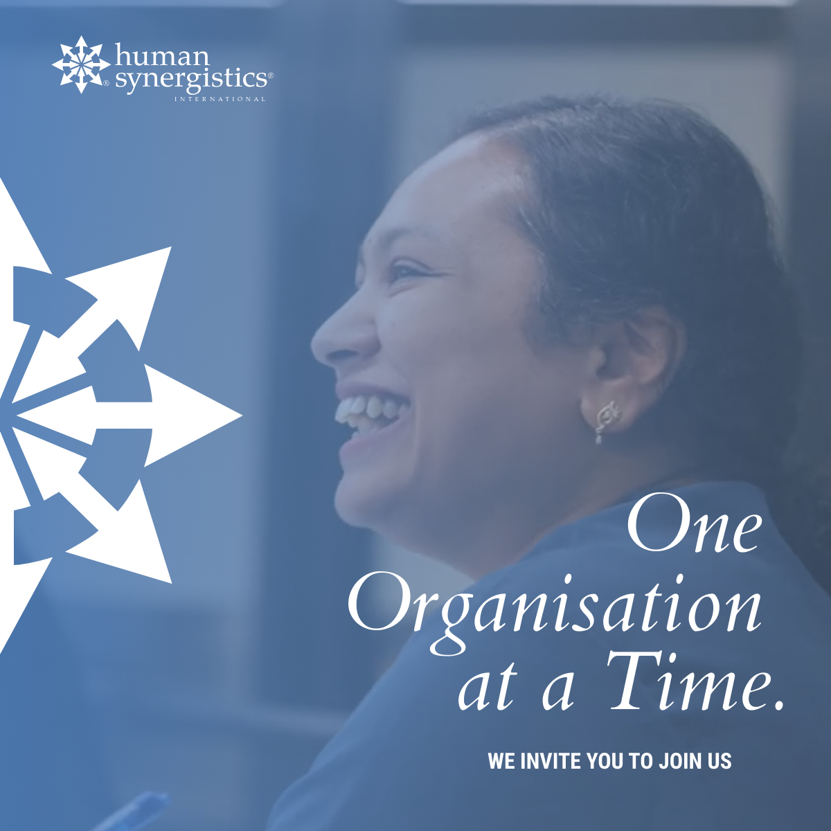 Human Synergistics tweet media