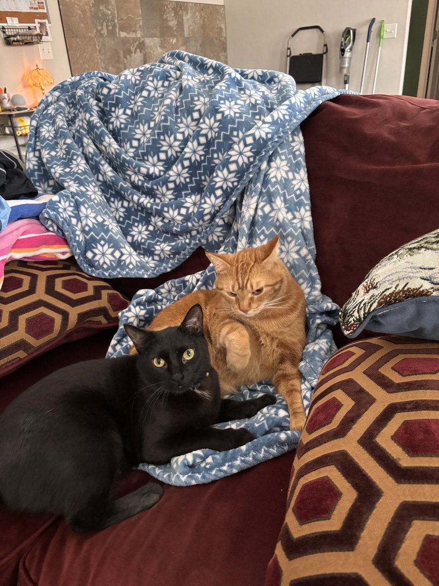 Stephen Morgan tweet media