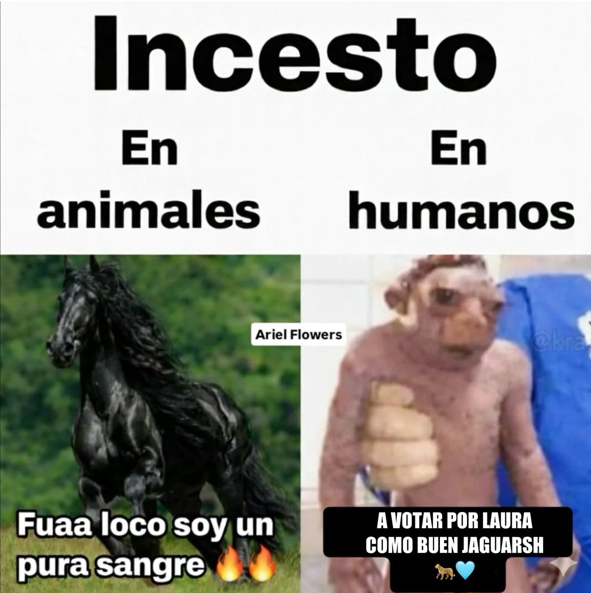 Bolañitos Querido💜 (@bolawanted) on Twitter photo 