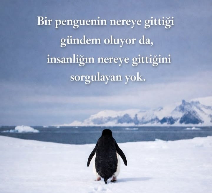 🇰🇼🇰🇼🇰🇼🇰🇼🇰🇼