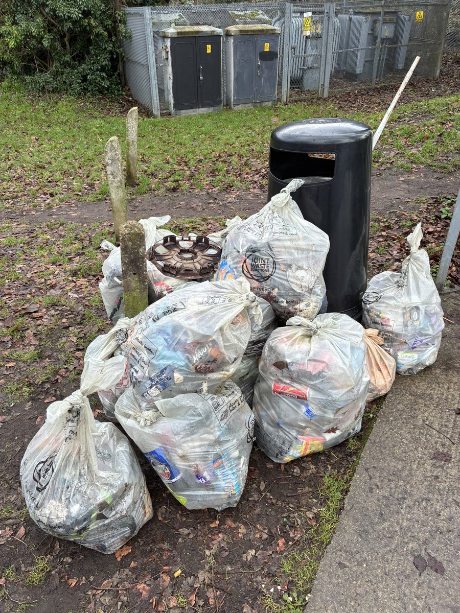 Thames Ditton Litter Pickers tweet media