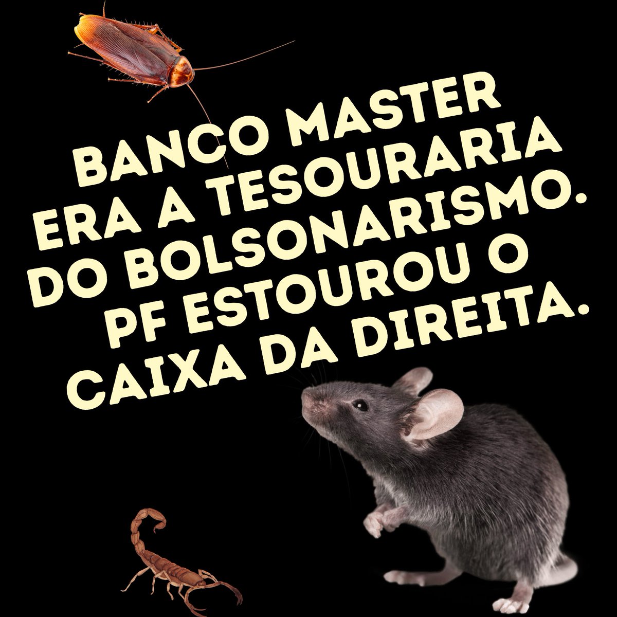 Bacurau é aqui! tweet media