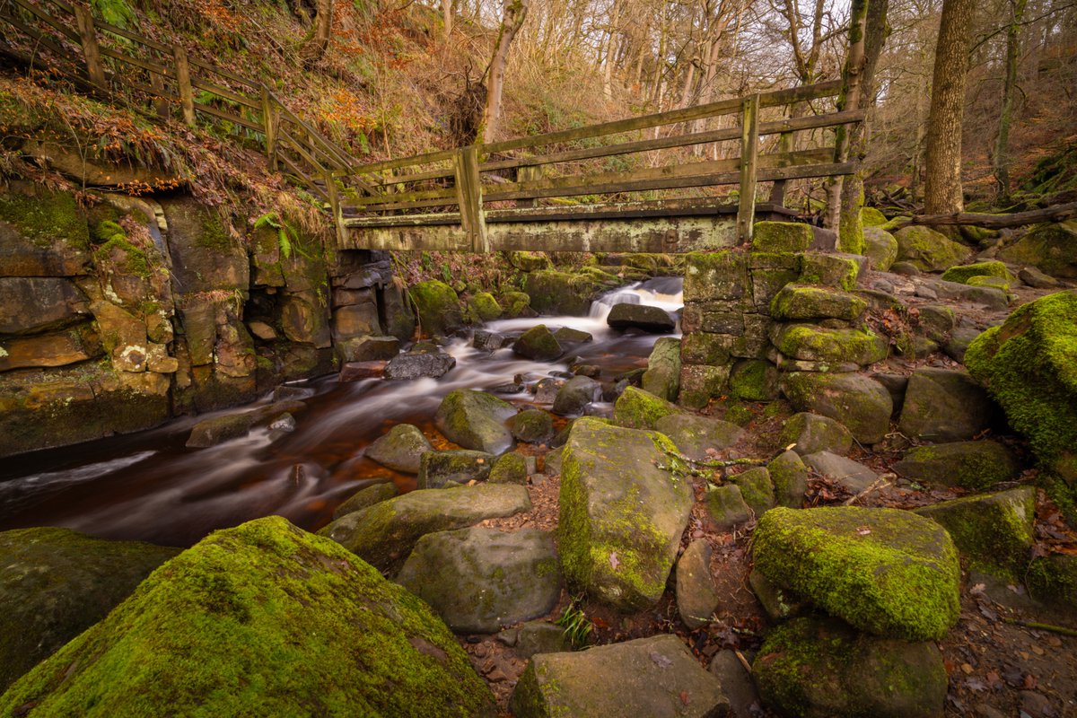 Ross Farnham tweet media