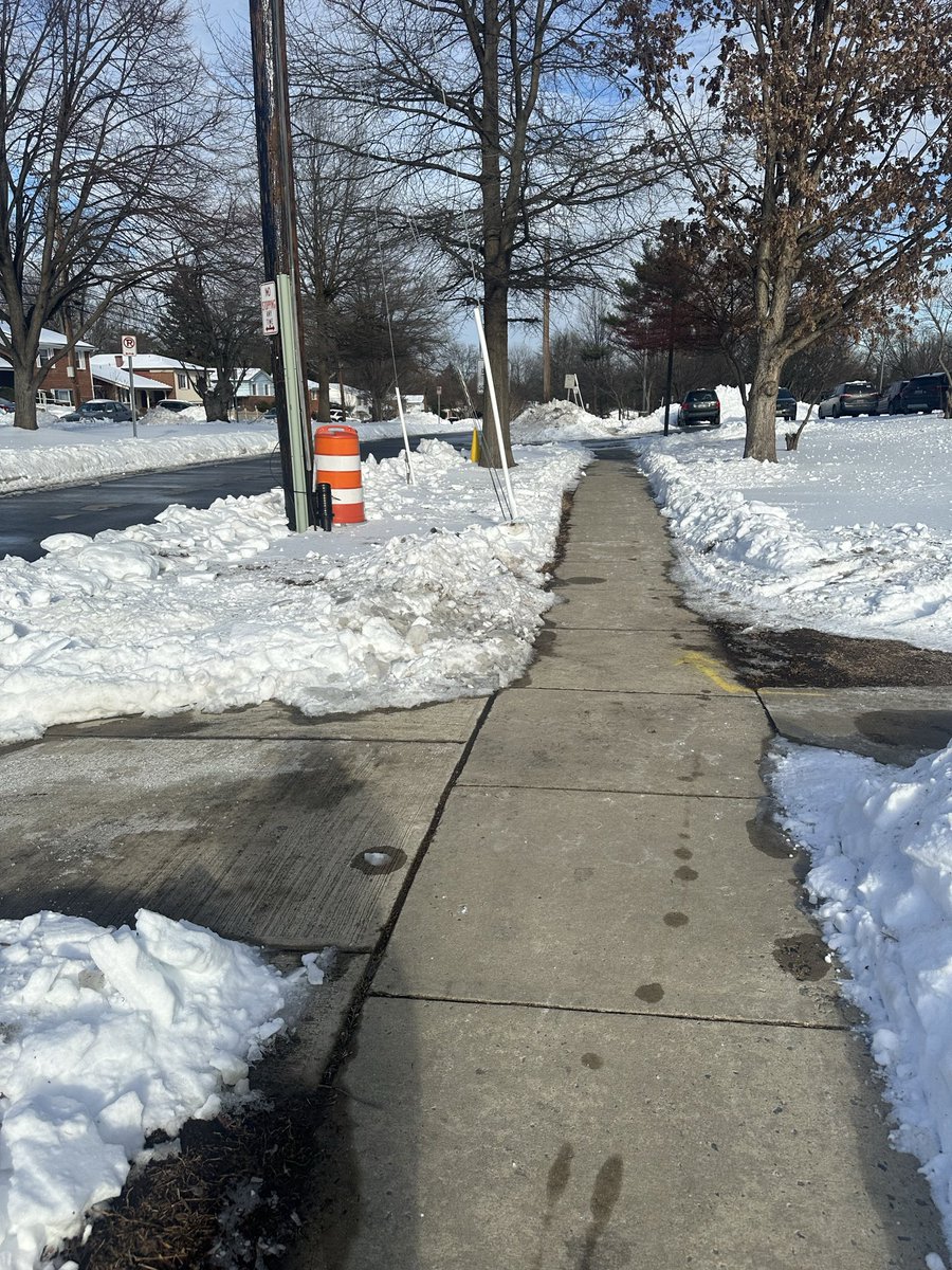 Lisa Shorts tweet media