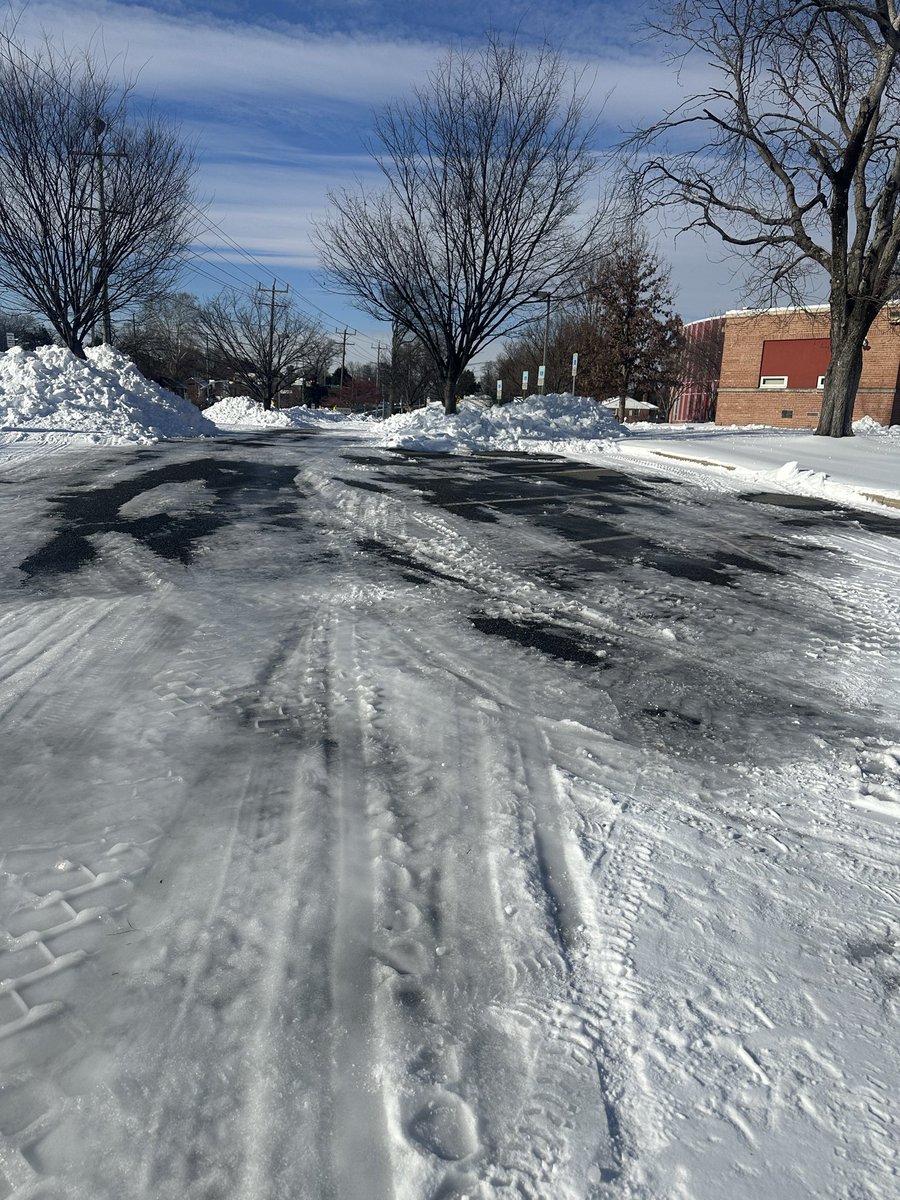 Lisa Shorts tweet media