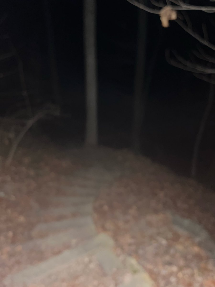 tmpted tweet media