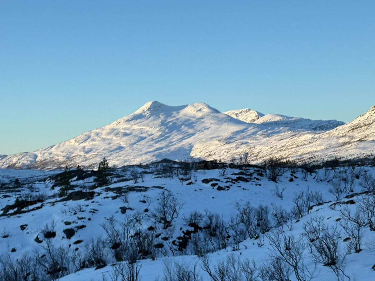 Anita Nergaard tweet media