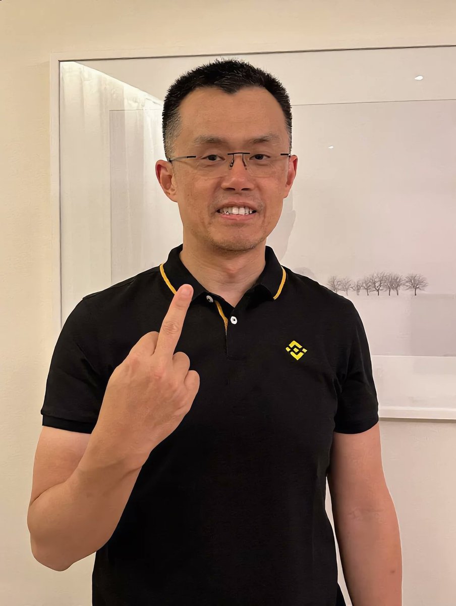 LeonidasNFT's tweet image. Repost if you think this scammer @cz_binance should be sent back to jail