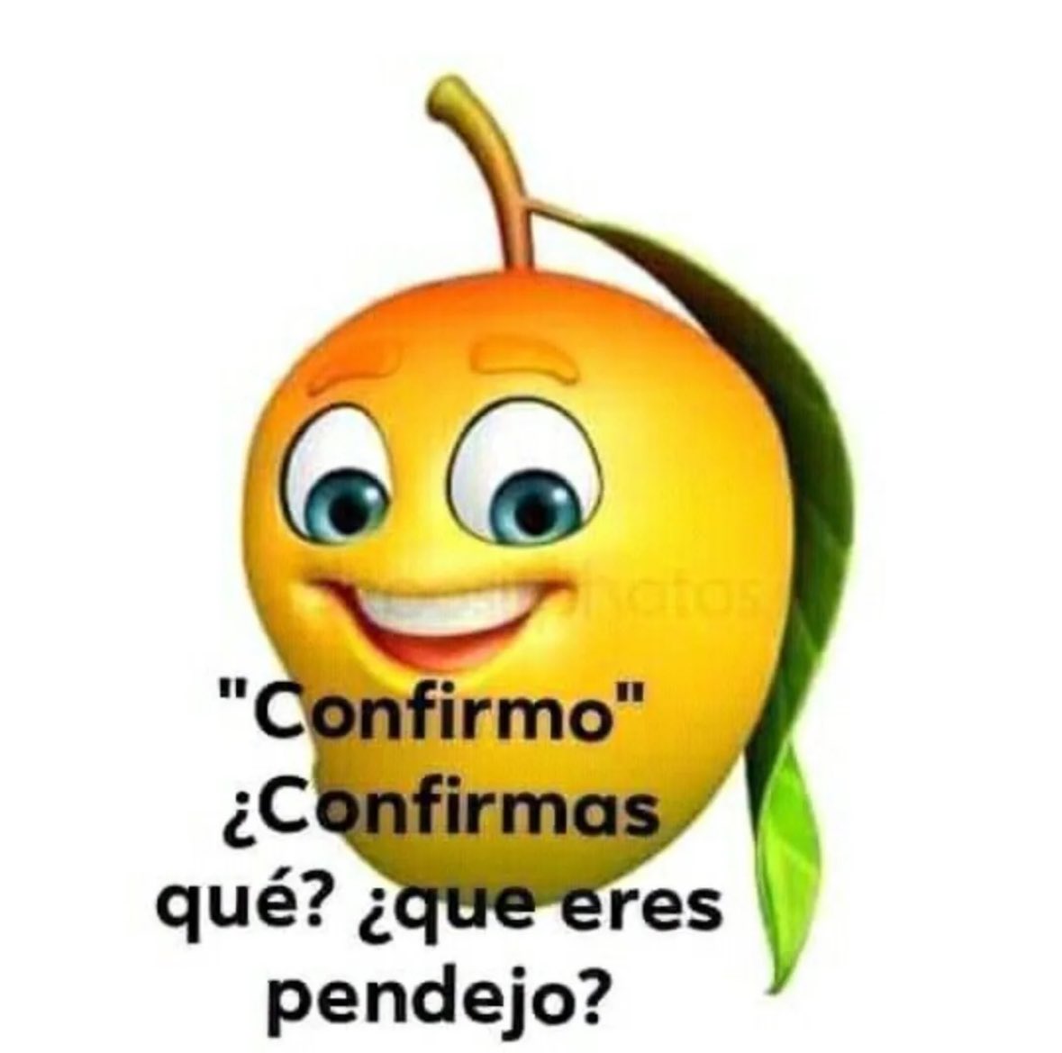 memefeos's tweet photo. https://t.co/o8TucfbiNu