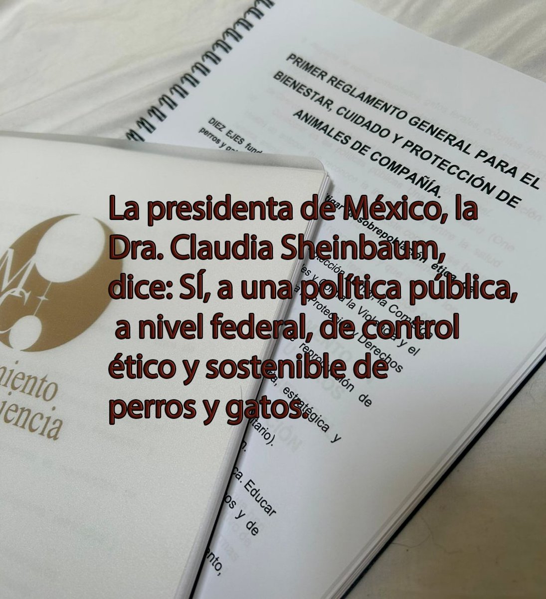 Participación de la periodista Elideth Fernández en la Mañanera del Pueblo.  Enero 27, 2026.
«El conflicto entre la Fundación Haghenbeck y el Refugio Franciscano, sólo representa la punta del iceberg de un problema mucho más profundo y prolongado».

👉movimientoconsciencia.com/el-conflicto-e…