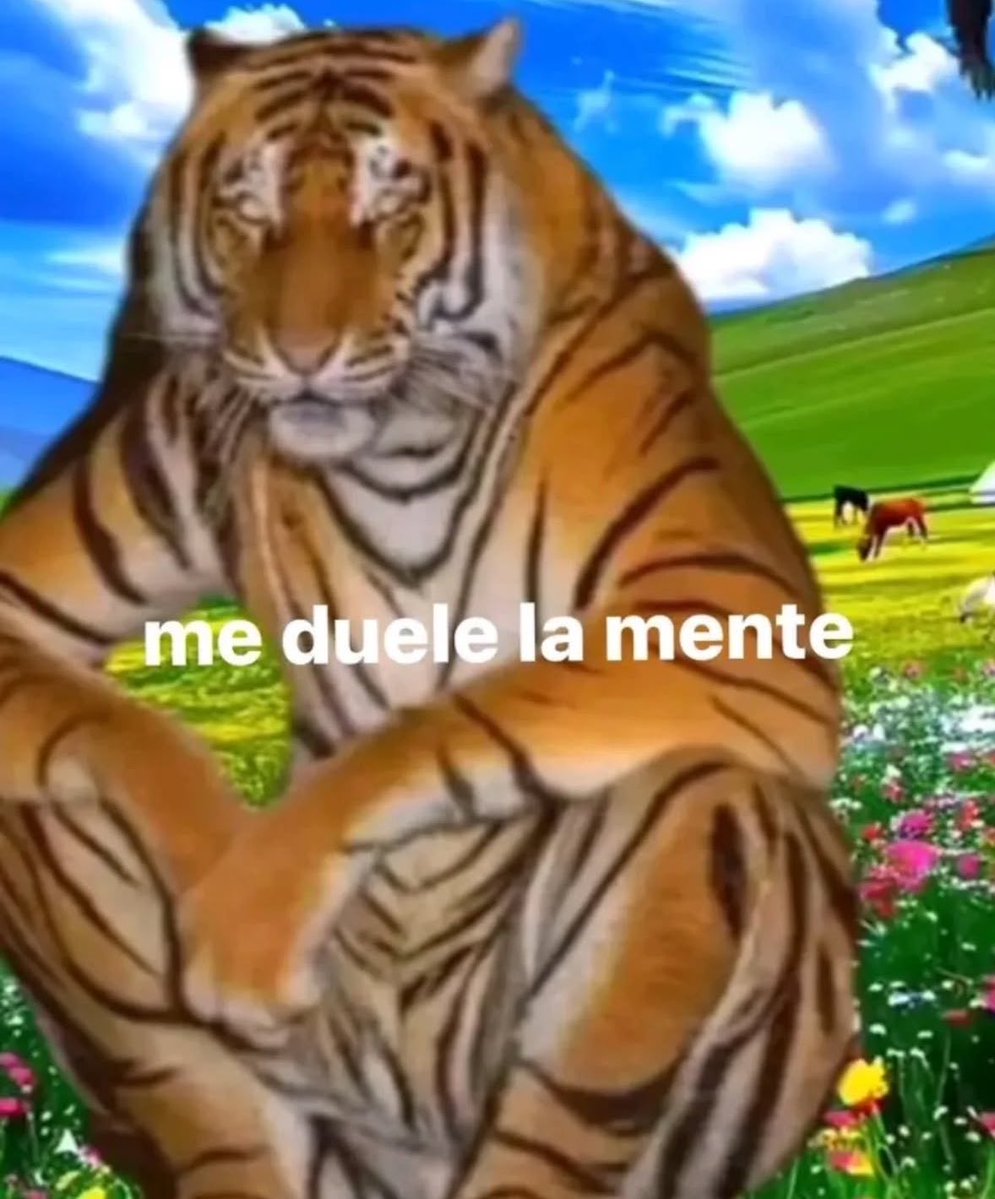 memes feos yo qué sé (@memefeos) on Twitter photo 