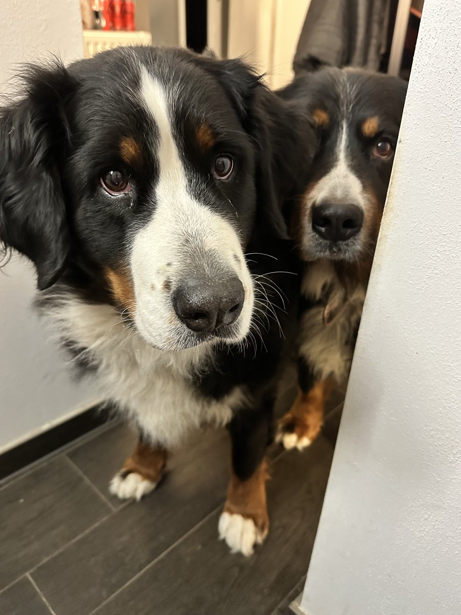 Vielleicht bist du nur mal schnell zum Klo, aber vielleicht bist du Monate weg - wir kennen den Unterschied nicht und deshalb gehen wir lieber mit ❣️