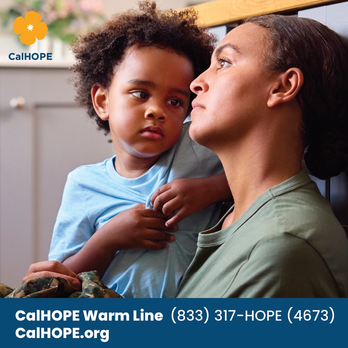 California DOR tweet media