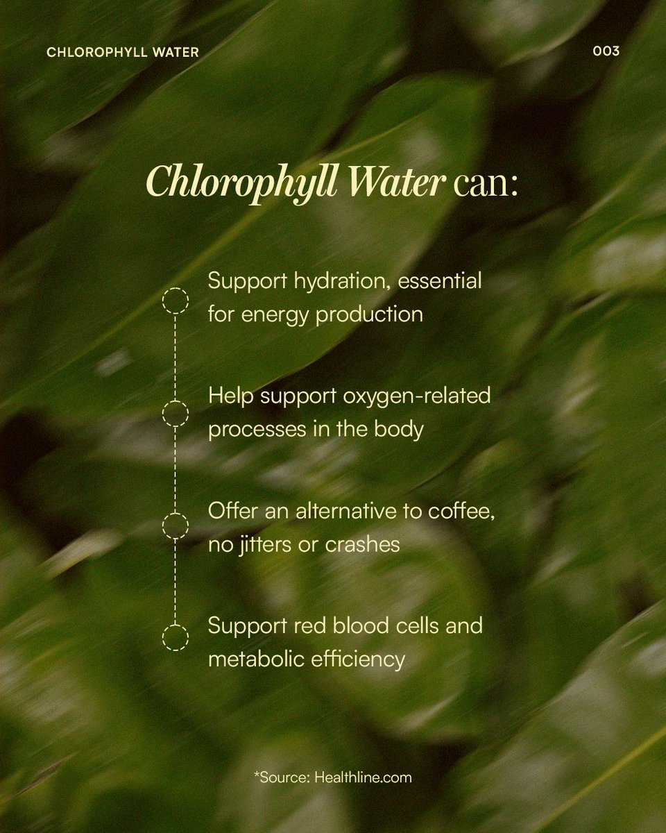 Midday slump? It’s probably not caffeine you need. 😴

Dehydration and oxidative stress can drain energy, but Chlorophyll Water supports your body at the cellular level, swipe to see how!

Find your natural energy drink at ChlorophyllWater.com