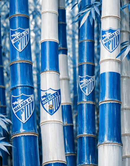 morenora78's tweet photo. @MalagaCF @RadioMarcaMLG https://t.co/MF2c1XMI7b