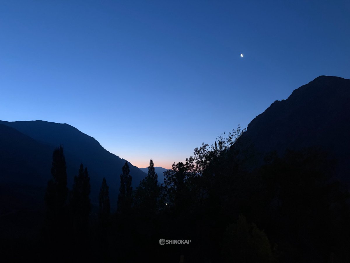 凌锴Shino🫐 tweet media