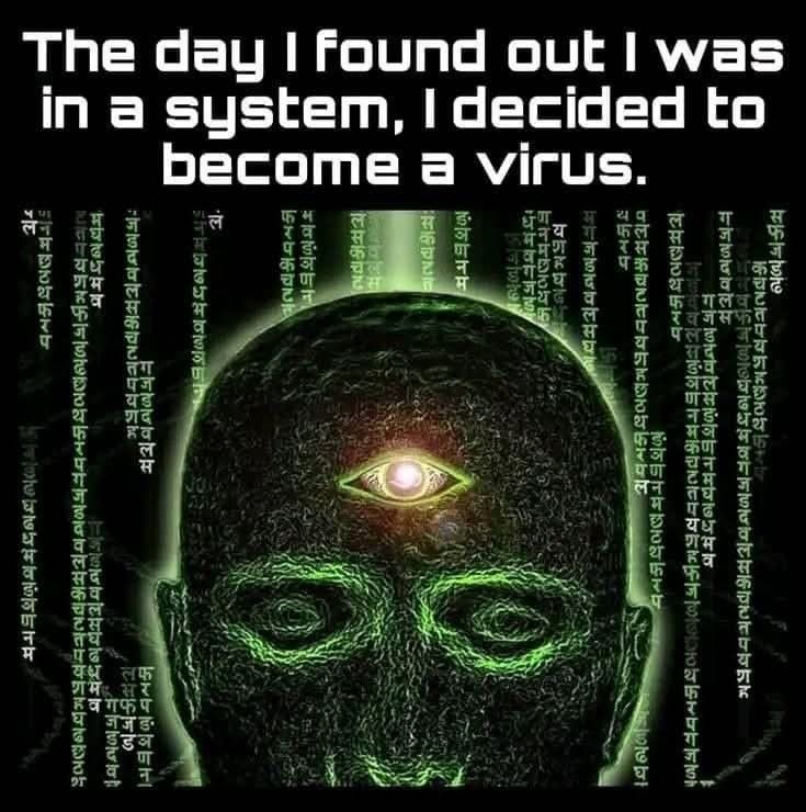 norbertguyas's tweet image. secret plan