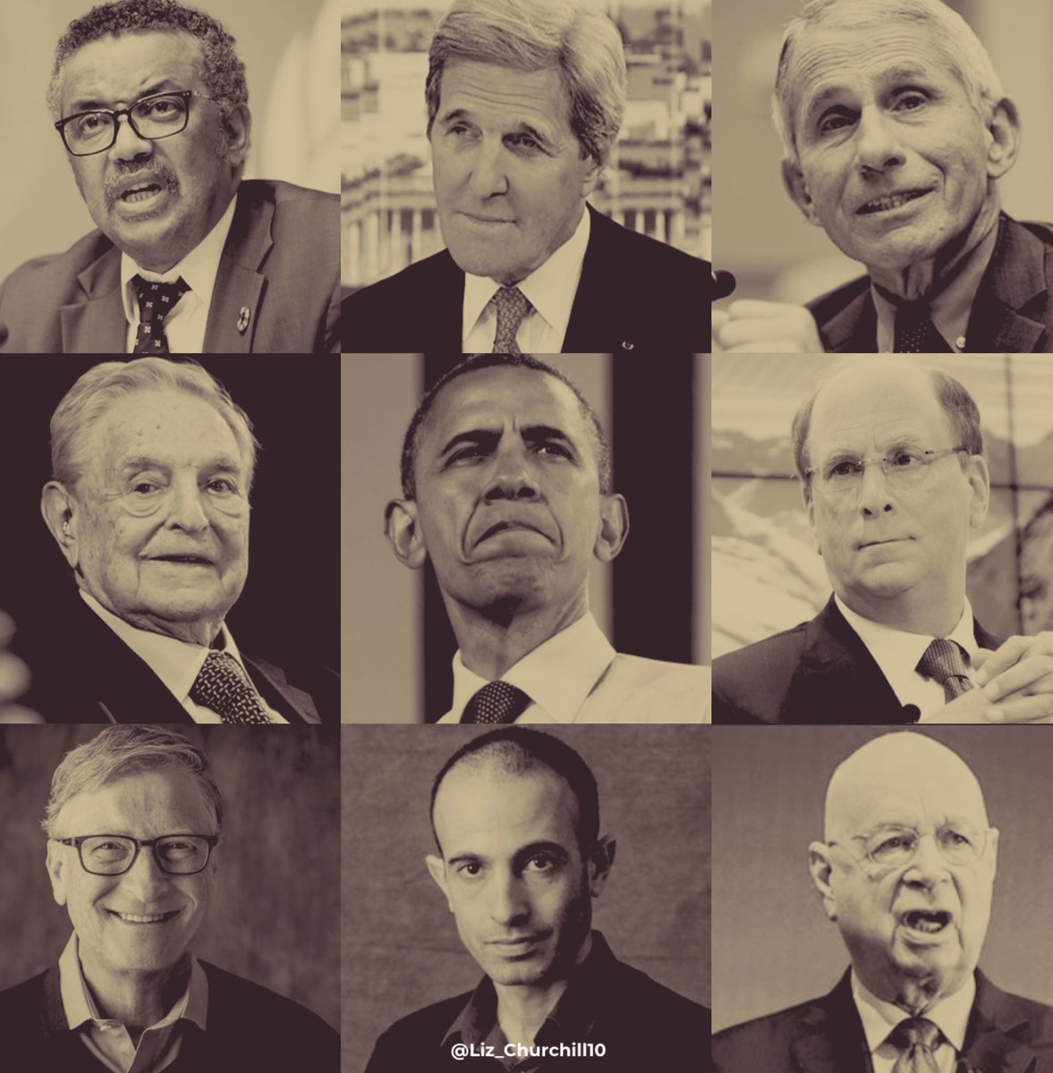 liz_churchill10's tweet image. NO ONE VOTED for a ‘New World Order’.