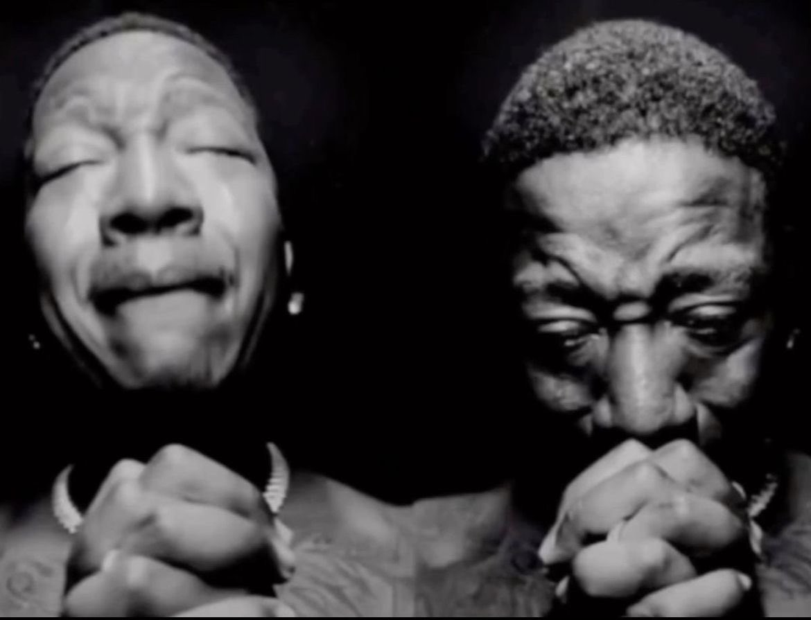 meg 🍊 tweet media