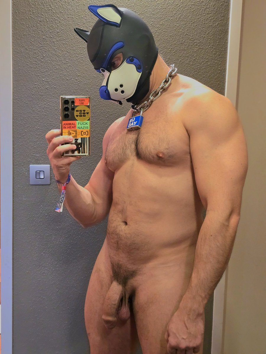 Pup Buday tweet media