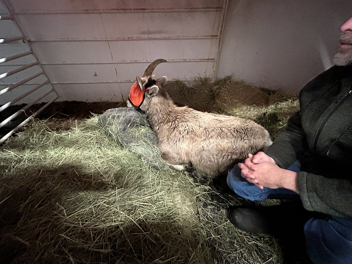 CPW SW Region tweet media