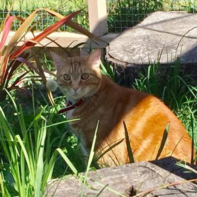 #NewProfilePic