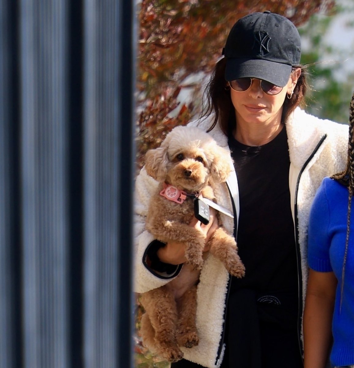 bullocksource's tweet image. sandra bullock, 2026.