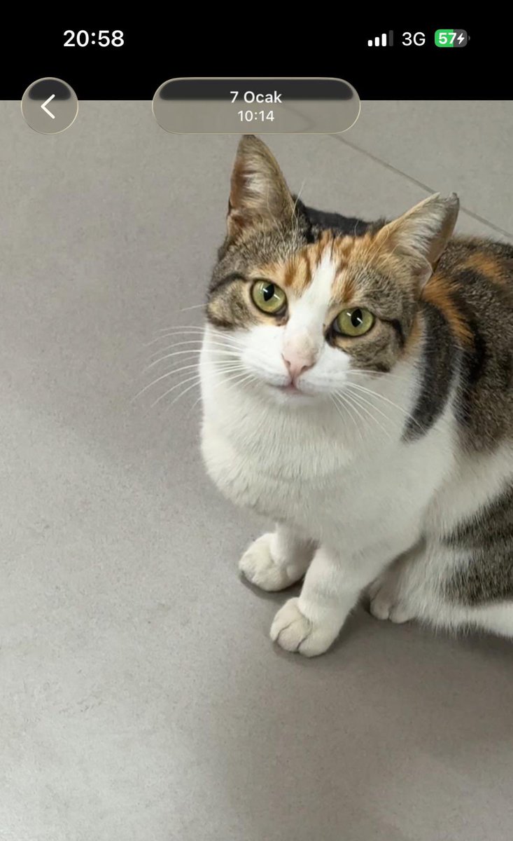 suletrkmnn's tweet image. senden asla vazgeçmeyecegim bugün 12 gun oldu hiç bir ize ulaşamadım ama az kaldı her şey cozulecek dirayetli ol bulacağım seni hayatta olduğunu biliyorum ve tek tesellim uzun süredir bu🥲🥲😔