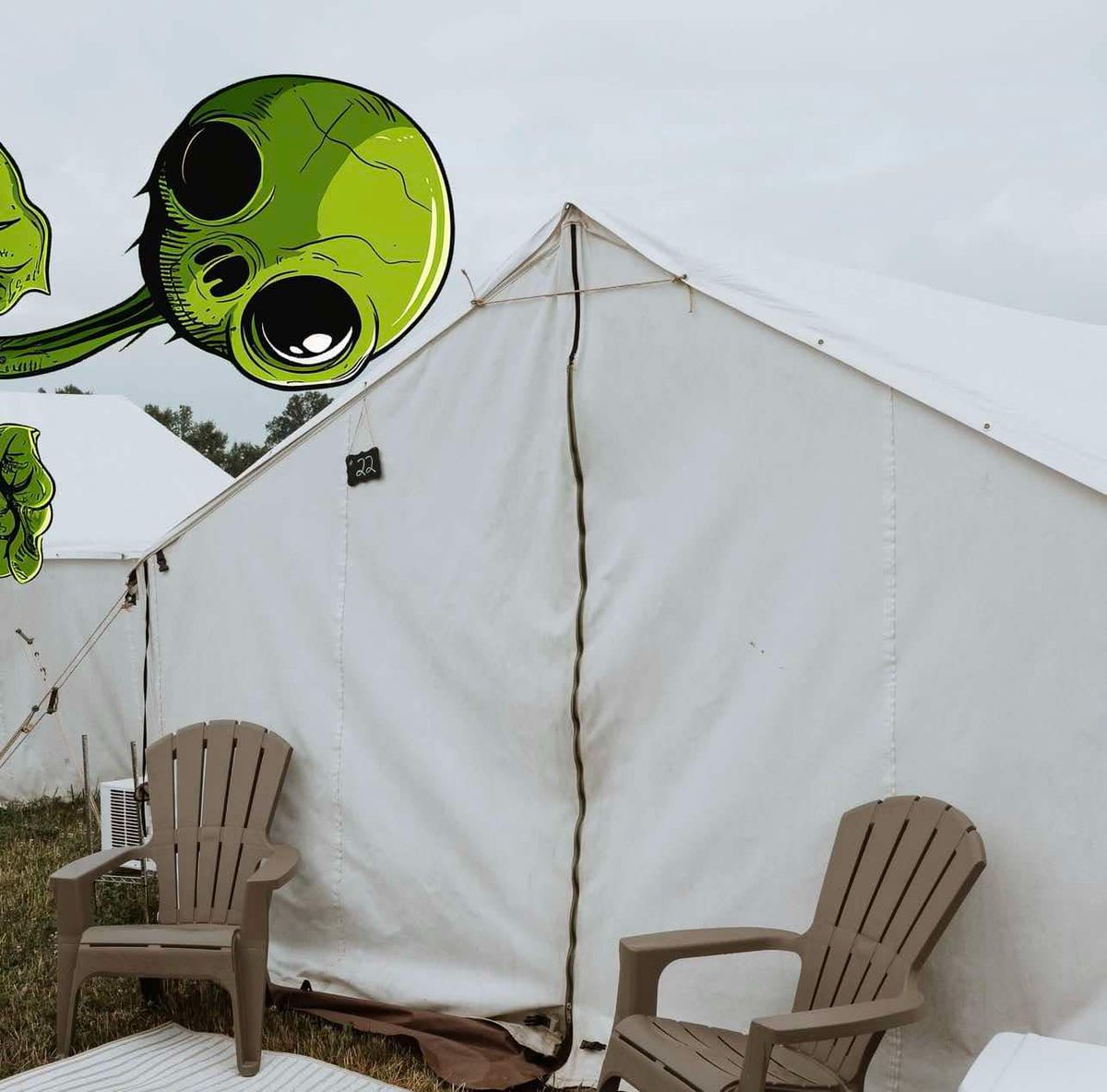 Force Fields tweet media