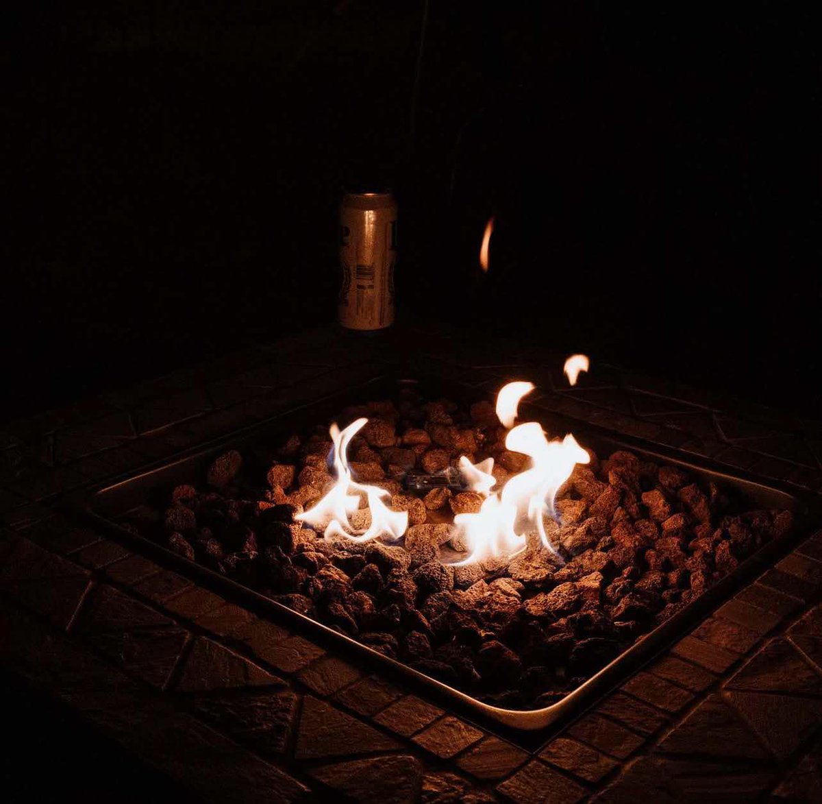 Force Fields tweet media