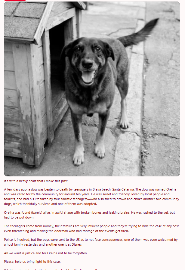 Alexmorettibr's tweet image. Americanos estão pedindo para que os assassinos do cachorro Orelha sejam presos e julgados no Estados Unidos pela lei americana.

A imagem dos assassinos estão sendo compartilhadas em grupos de comunidades do estados unidos.