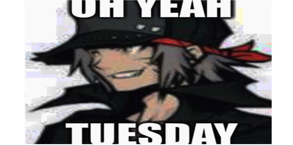 SHO TUESDAY tweet media