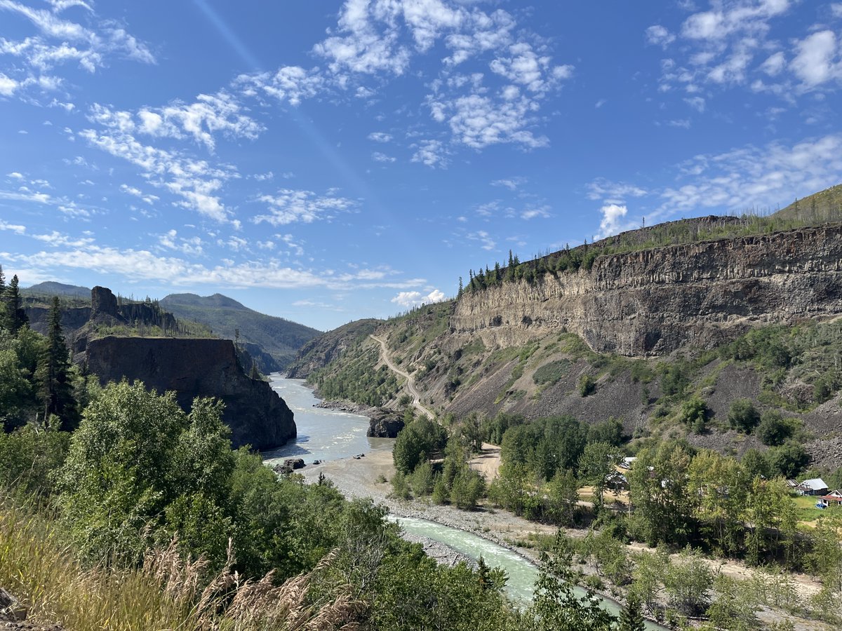 Randene Neill 🇨🇦 tweet media