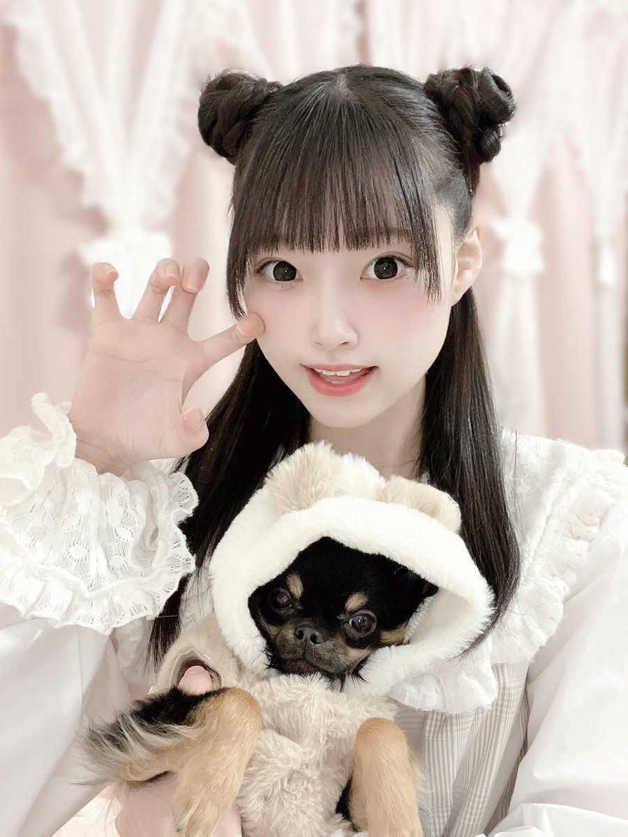 あーやん (@zakmetal5150) / Posts / X