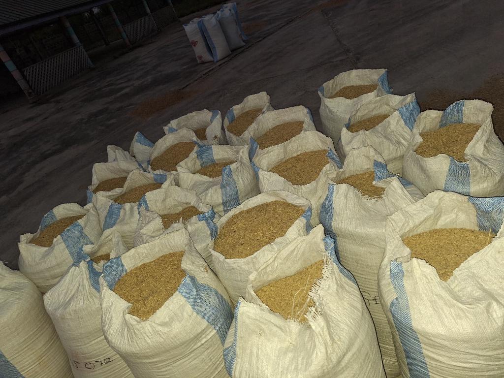 Bossy___'s tweet image. This rice season, i was able to harvet 350 sacks of rice from my farm in Dabala junction V/R. I beg you all in the name of God, i am looking for an investor/ a buyer/. Please link me to anyone or any company in need of rice. My life depends on it. Please retweet. 🙏 0552068775.