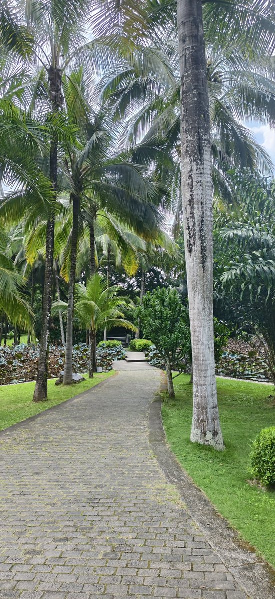 teextranoaaa's tweet image. 若知人生有悲歡離合，不如不來也不去

If I had known life is full of sorrow and joy, meeting and parting,
I would rather neither come nor go.