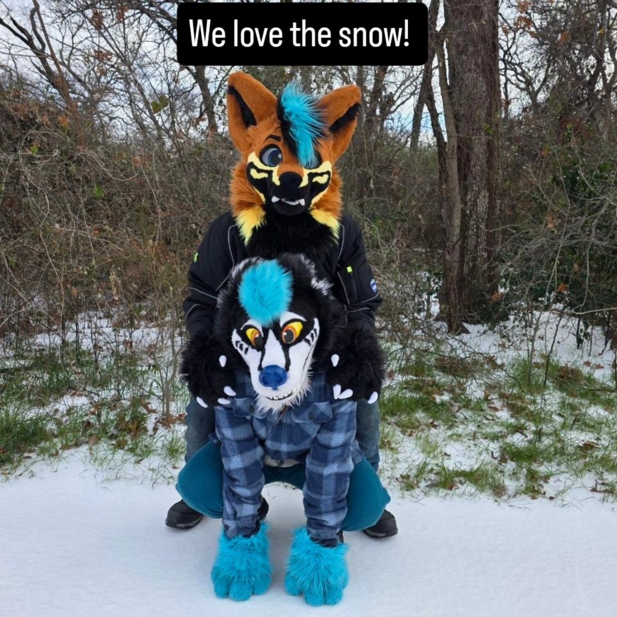 Nau Wusky 🔜 TFF tweet media