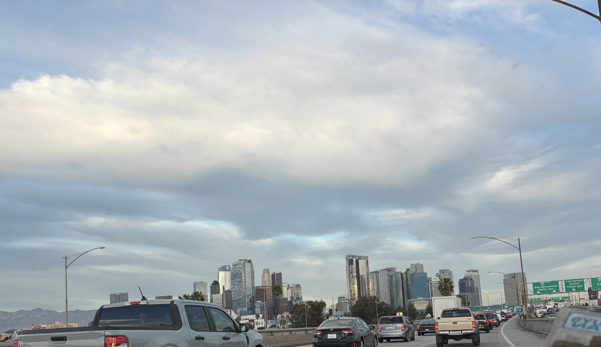 Mexican Rug Dealer tweet media