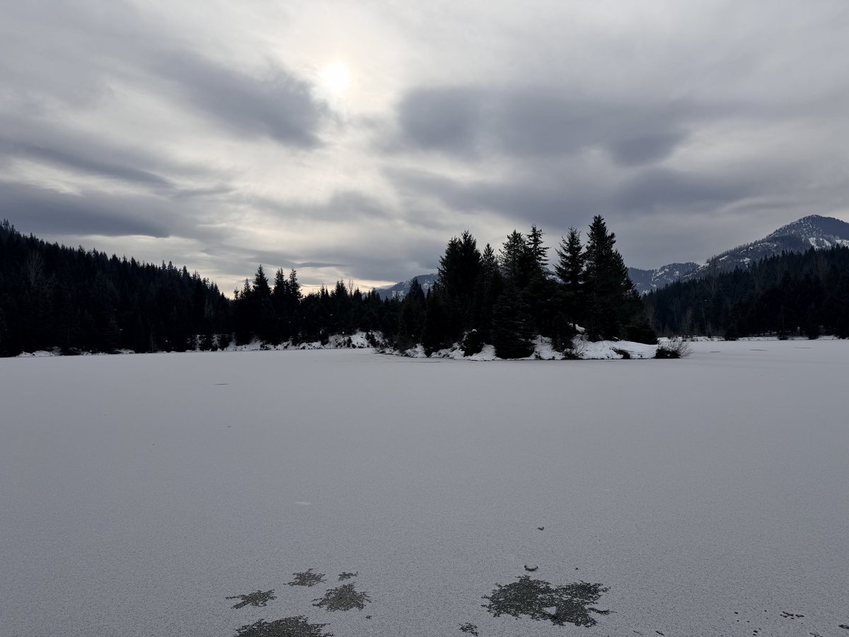 johan_grmc's tweet photo. Un día en la nieve ❄️ #snow https://t.co/nlM97PhQEY